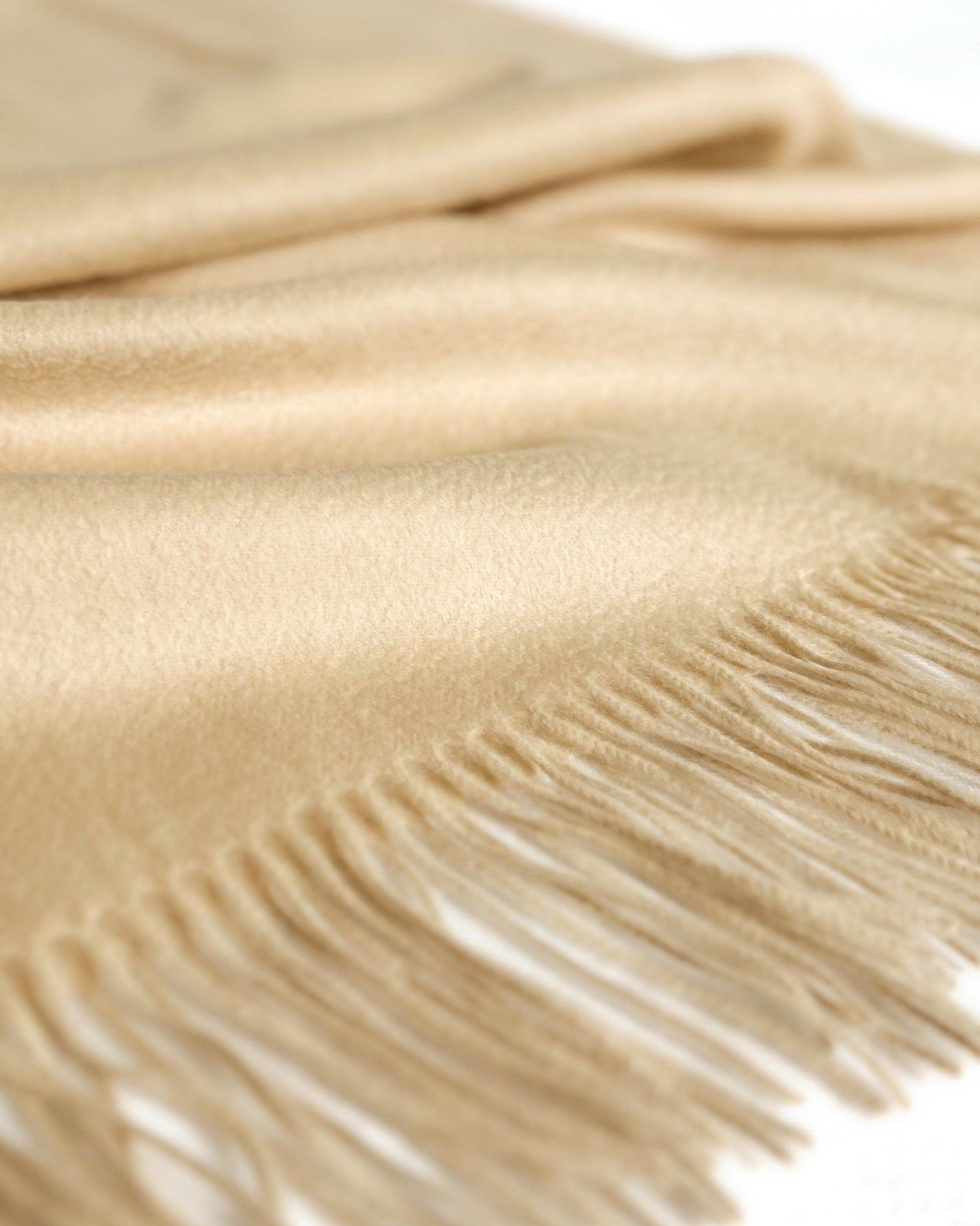 #color_timeless beige