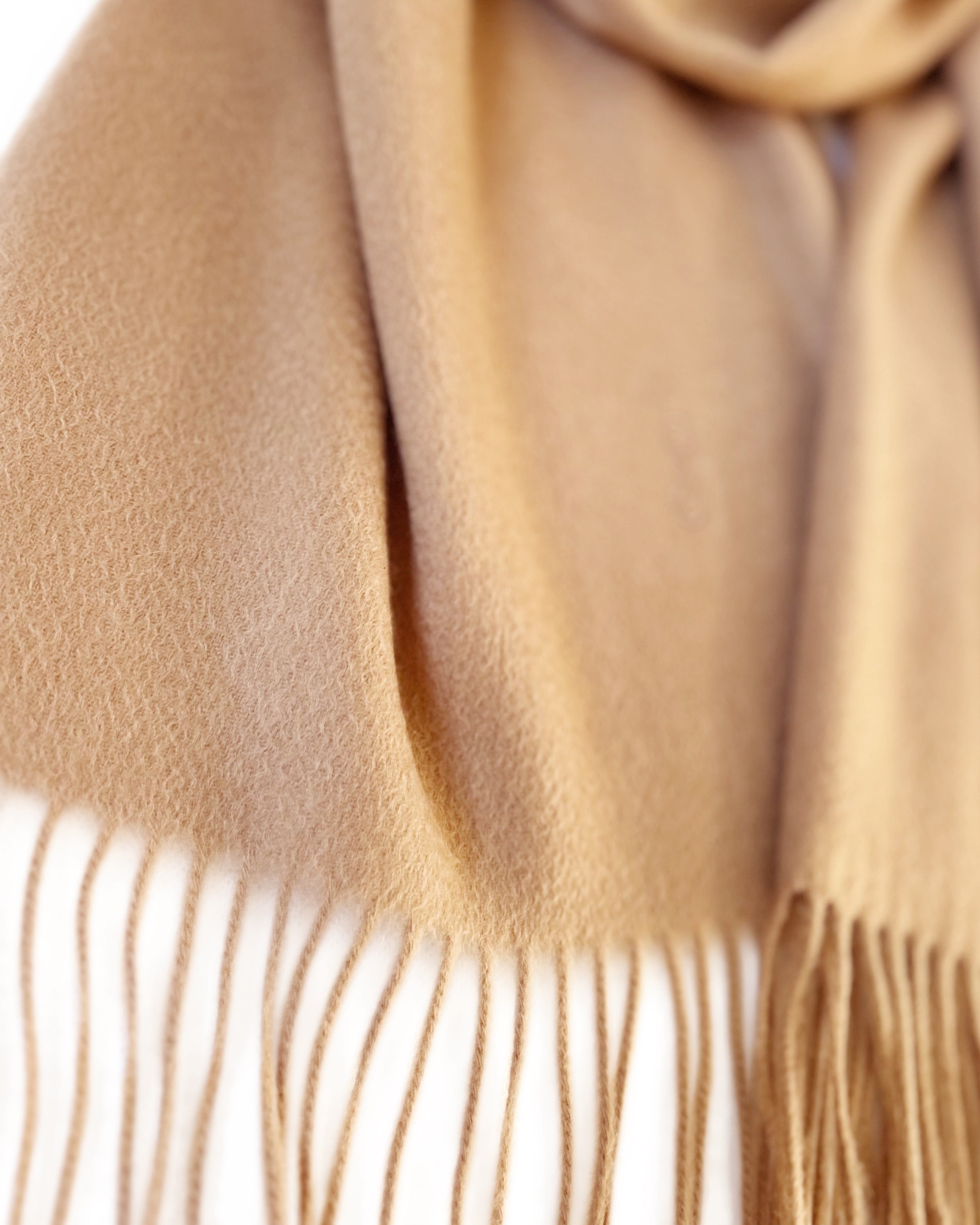 #color_timeless beige